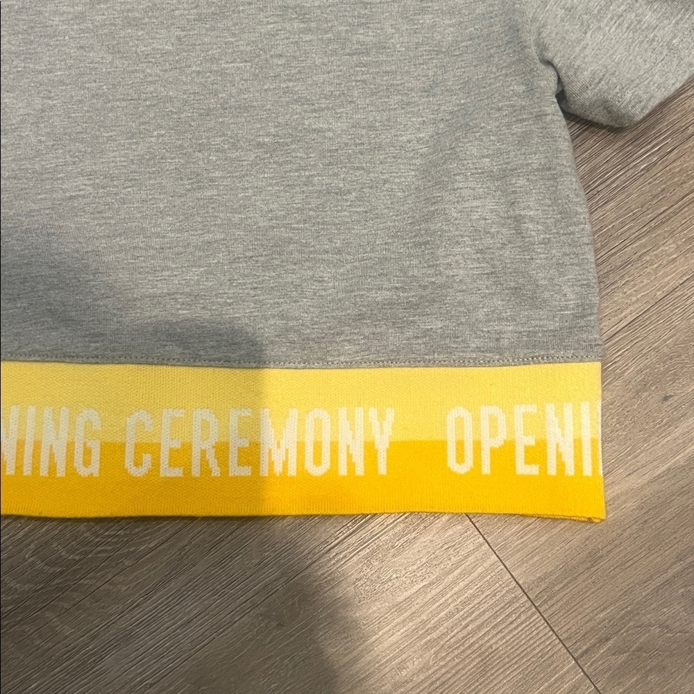 Opening Ceremony Crop Top - Picture 4 of 11